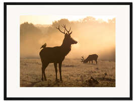 Gerahmter Kunstdruck Hirsch und Dohle im Nebel