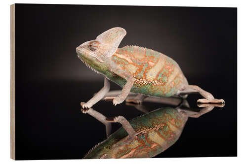 Wood print Chameleon in the studio