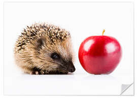 Wall sticker Hedgehog and apple