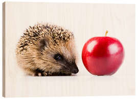 Holzbild Igel und Apfel