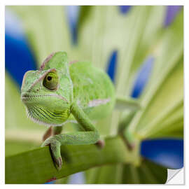 Vinilo para la pared Chameleon on Monstera