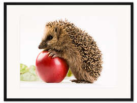Gerahmter Kunstdruck Mein Apfel!