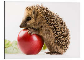 Magnettafel Mein Apfel!