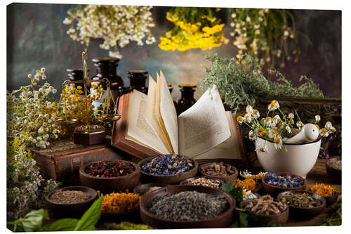 Canvas-taulu Herbalism