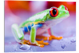 Gallery Print Bunter Frosch