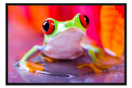 Gerahmter Kunstdruck kleiner grüner Frosch