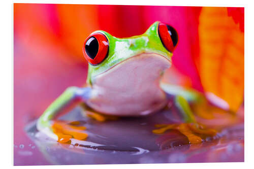 Foam board print little green frog