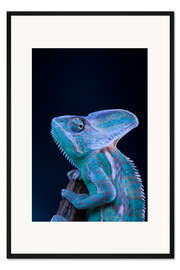 Gerahmter Kunstdruck blaues Chamäleon