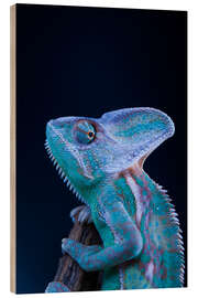 Wood print blue chameleon