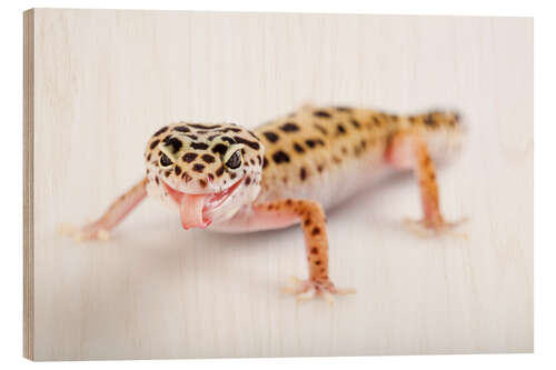 Holzbild Frecher Gecko