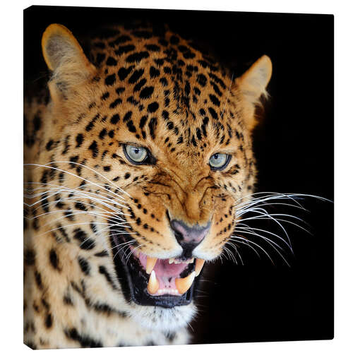 Stampa su tela snarling leopard