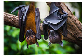 Akrylbilde Tired bats