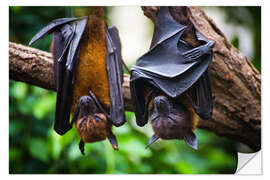 Selvklebende plakat Tired bats