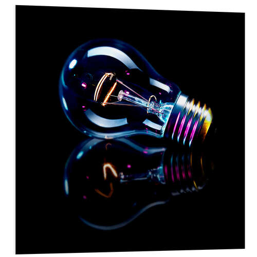 PVC-taulu Lightbulb with Reflection