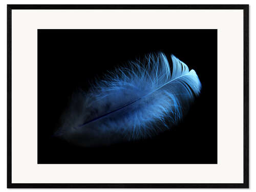 Gerahmter Kunstdruck blaue Feder
