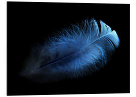 Magnettafel blaue Feder