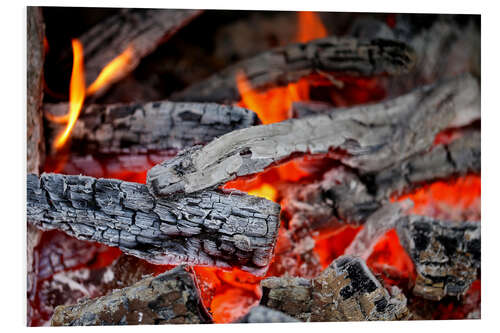 Obraz na PCV Wood in the fireplace