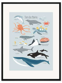 Gerahmter Kunstdruck Tiere des Meeres