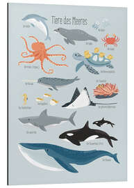 Magnettafel Tiere des Meeres