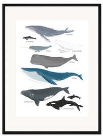 Gerahmter Kunstdruck Wale