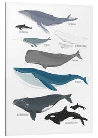 Magnettafel Wale