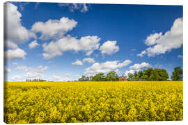 Canvas print Spring in yellow and blue on Bornholm