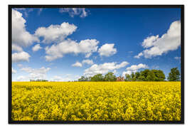 Gerahmter Kunstdruck Frühling in Gelb und Blau auf Bornholm