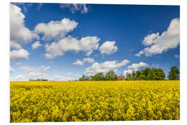 Tableau en PVC Spring in yellow and blue on Bornholm