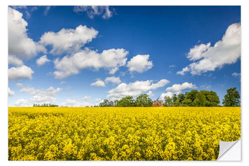 Muursticker Spring in yellow and blue on Bornholm