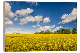 Quadro de madeira Spring in yellow and blue on Bornholm