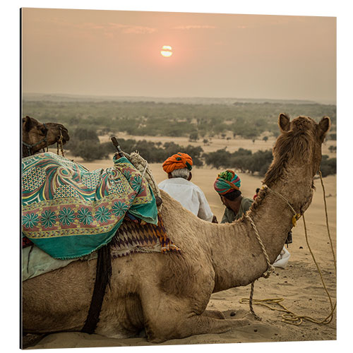 Cuadro de aluminio Sunset in the Thar Desert