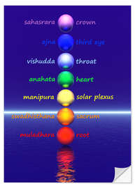 Selvklæbende plakat Chakras with water