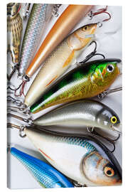 Canvas-taulu Colorful fishing hooks