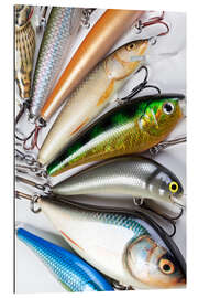 Gallery print Colorful fishing hooks