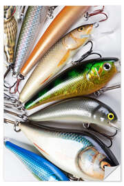 Wall sticker Colorful fishing hooks