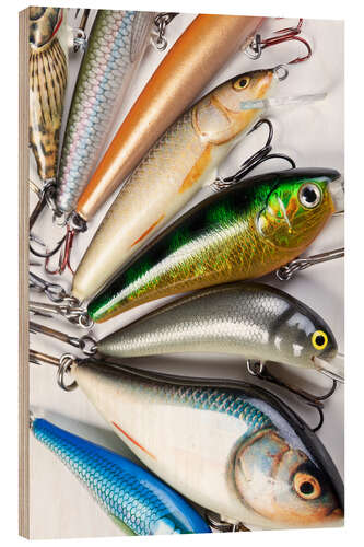 Cuadro de madera Colorful fishing hooks