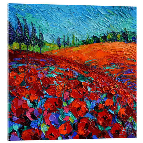 Tableau en verre acrylique Champ de coquelicots