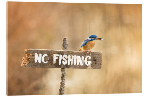 Cuadro de metacrilato Fishing prohibited