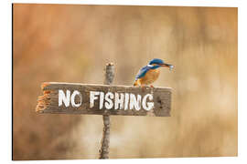 Tableau en aluminium No fishing - Dieter Meyrl