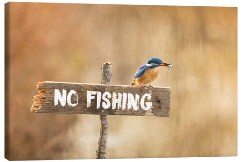 Obraz na płótnie Fishing prohibited