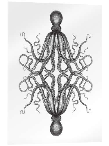 Tableau en verre acrylique Octopus illustration