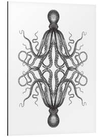 Aluminium print Octopus illustration