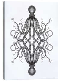 Canvas print Octopus illustration