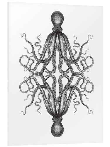 PVC print Octopus illustration