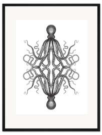 Gerahmter Kunstdruck Octopus Illustration