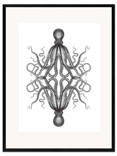 Framed art print Octopus illustration