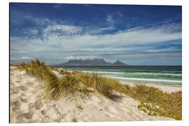 Aluminiumsbilde Dunes near Cape Town, South Africa