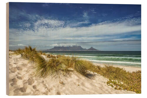 Obraz na drewnie Dunes near Cape Town, South Africa