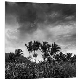 Foam board print A stormy tropical scene in paradise of Brazil.