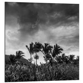 Magnettafel Eine stürmische tropische Szene im Paradies von Brasilien.